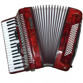 Acordeon Sanfona 60 baixos Todeskine varias cores - Foto 1