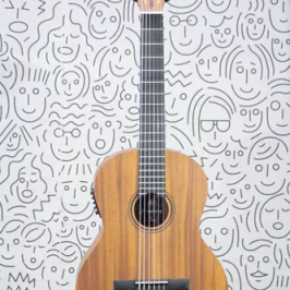 Violao Eletrico Strinberg Forest FS3 Classico Nylon - Foto 6