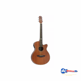 Violao eletrico Strinberg SA200c Cutway Aço