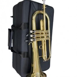 FONTAI FLUGEL HORN EM SI tROMPETE FLUGELHORN