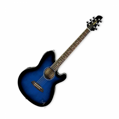 Detalhes do produto Violão IBANEZ VIOLAO TCY 10E TBS