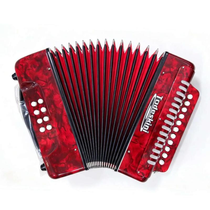 Acordeon Gaita De Botão Todeskini 08 Baixos