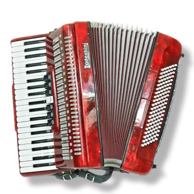 Acordeon Todeskine 120 Baixos