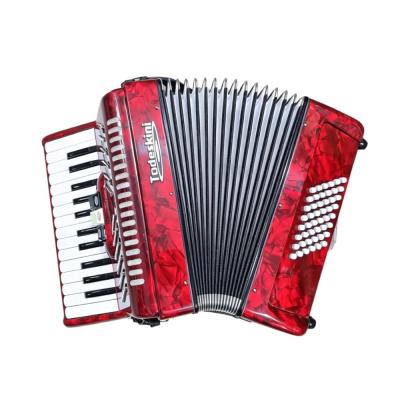 Acordeon Todeskine 48 Baixos 3 Registro