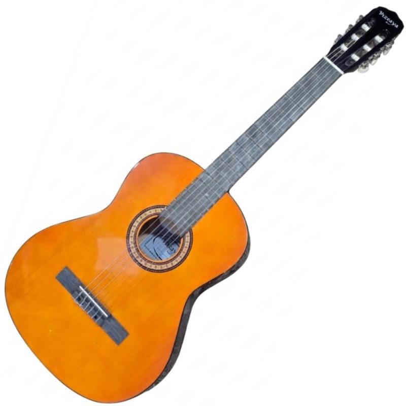 Violão Acústico Nilon Vizcaya ARCG44 NT