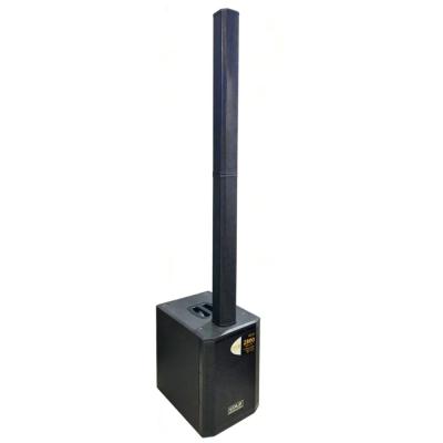 Caixa Sub/ 12" Torre Ativa Gold Ac21
