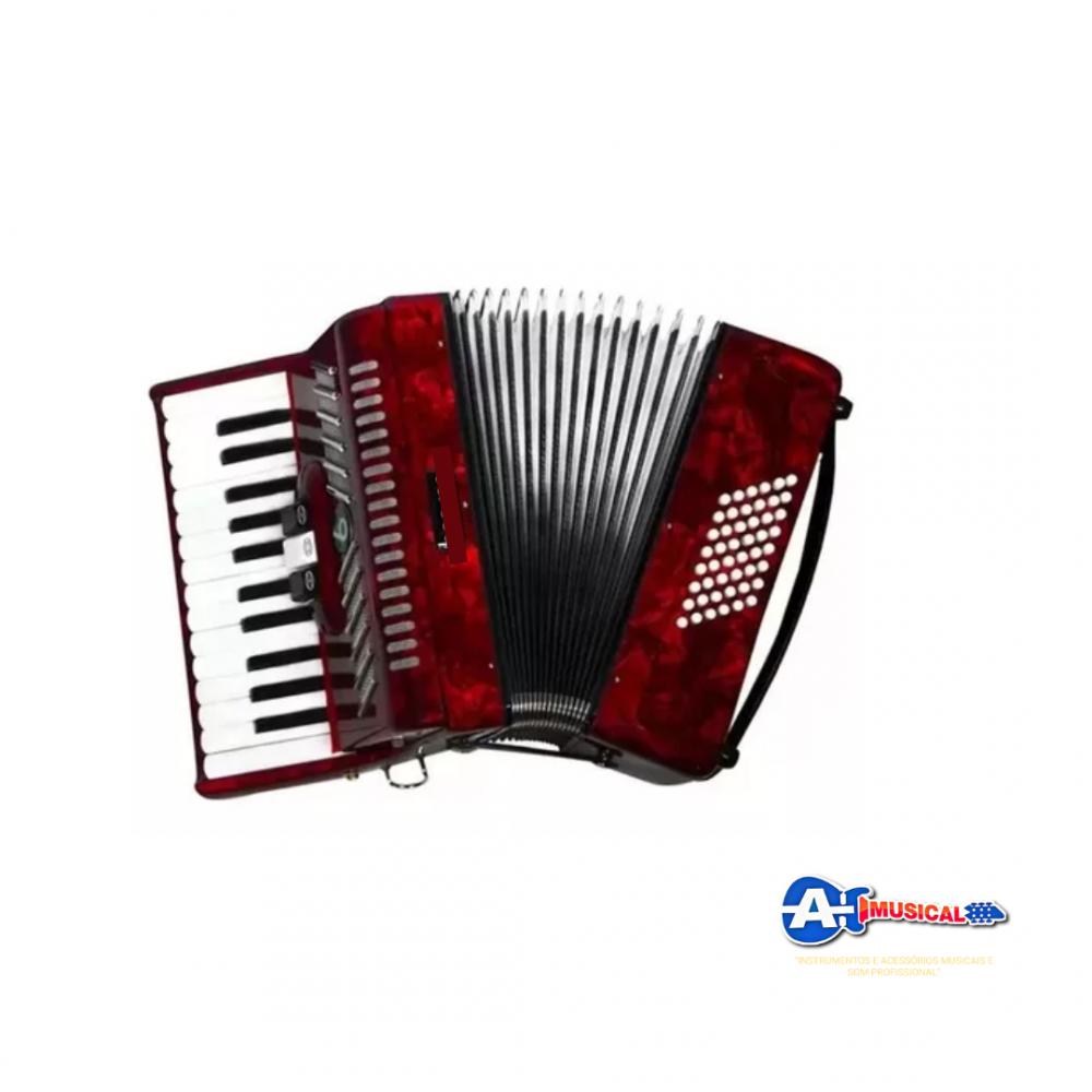 Acordeon Sanfona 48 baixos Reduzida 3 registros 