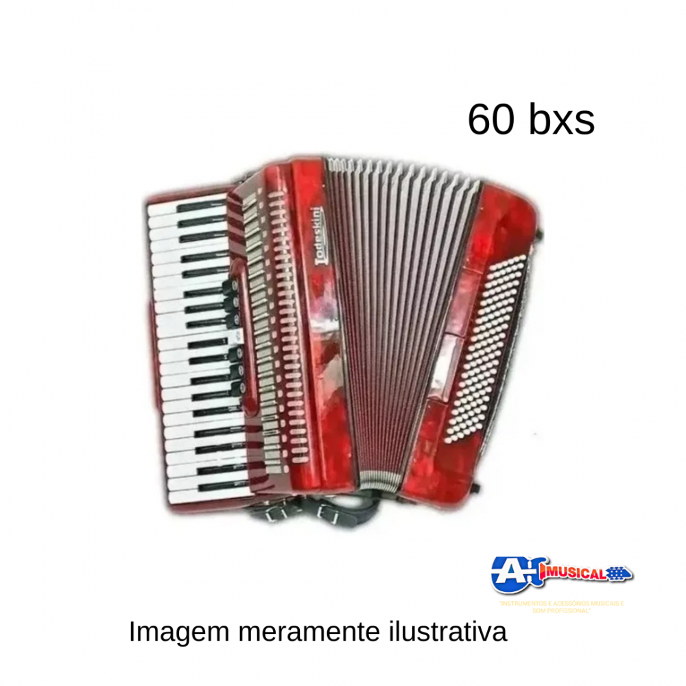 Acordeon Sanfona 60 baixos Todeskine varias cores